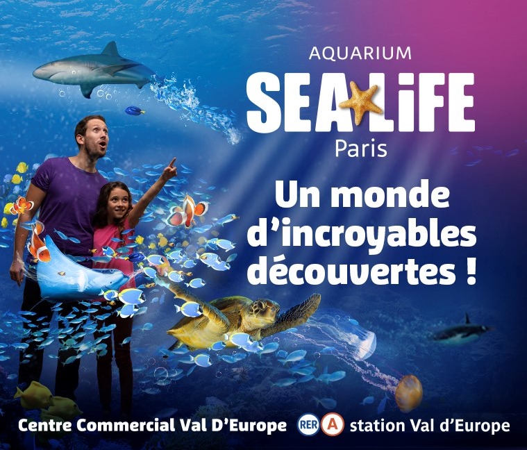 Billet journée SEA LIFE : 19€ au lieu de 24€