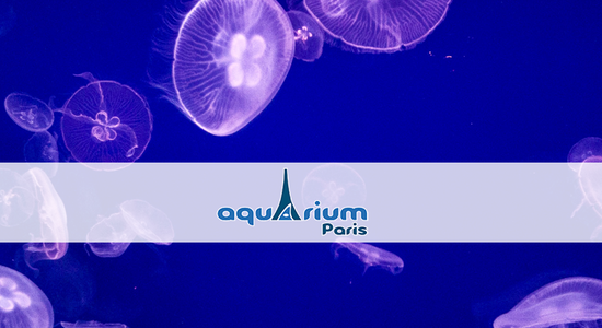 10,50€ de réduction sur l'entrée à l'Aquarium de Paris